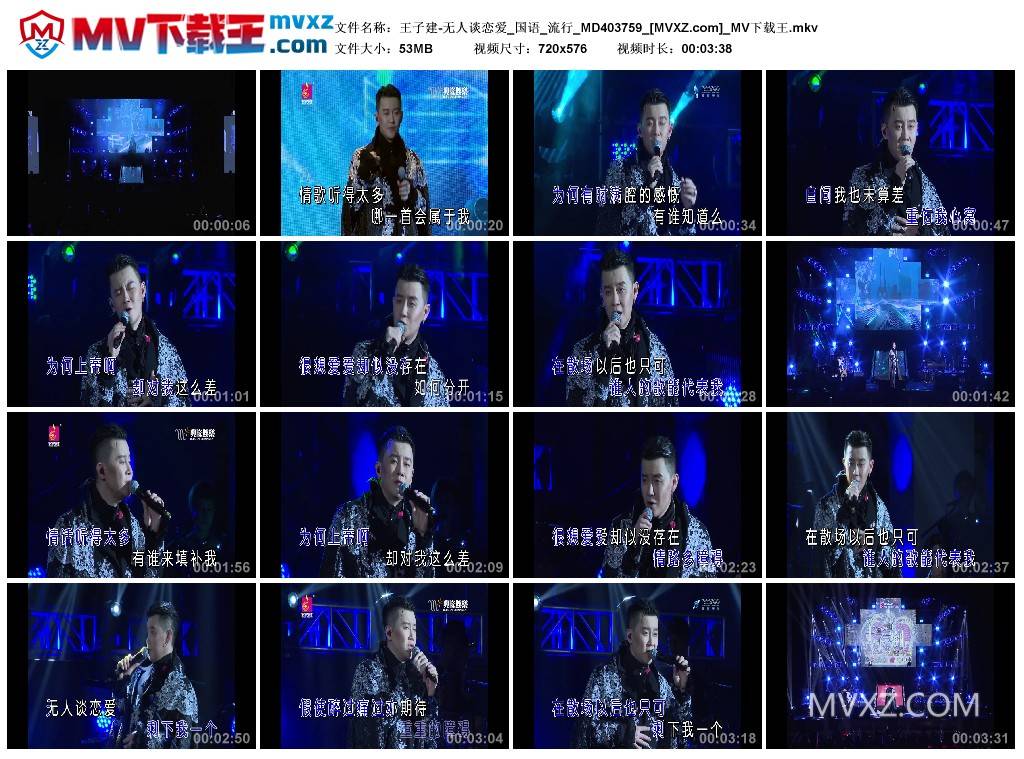 王子建-无人谈恋爱_国语_流行_MD403759